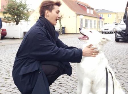 猴与哪些生肖和谐 合的是谁