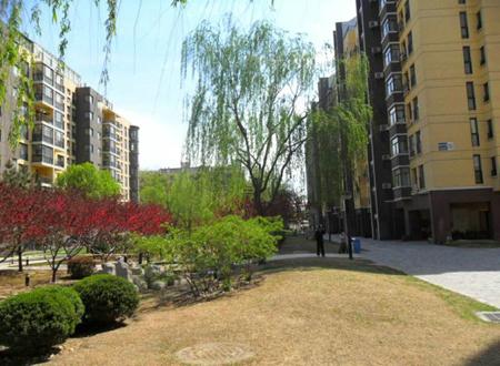 塔罗占卜何时能带来财富 通过塔罗占卜预测你的财务运势与赚钱时机