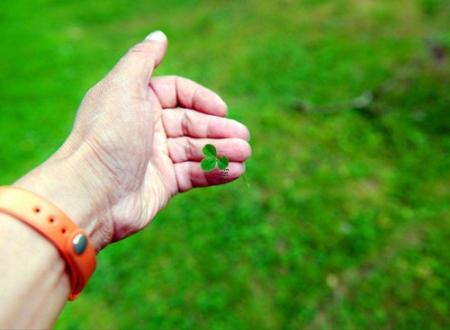 白羊座最佳搭配是什么 白羊座与哪些星座最为合适