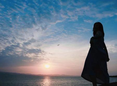 婚姻配对豚约 猪婚不婚点