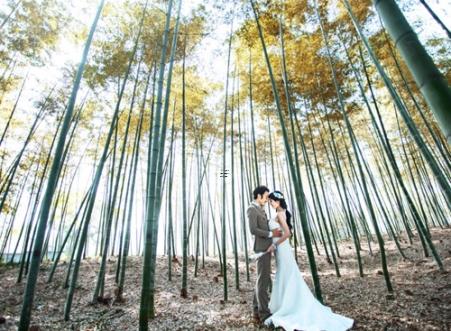 商店内争吵是否导致财运下降 商誉受损影响盈利