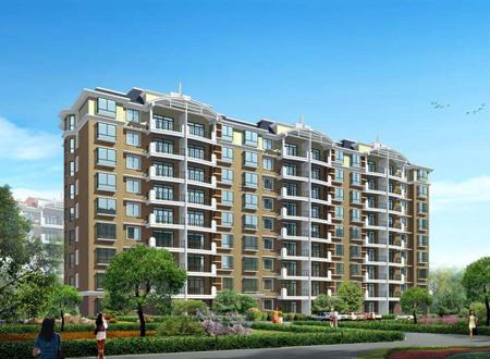 二月份出生的龙命运解析 二月份属龙的人命运怎样